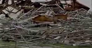 Hurricane Andrew: As It Happened