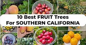 Growing the Top 10 Best Fruit Trees in Southern California