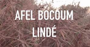 Afel Bocoum - The Story of 'Lindé'