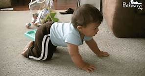 The Importance of Crawling for Baby