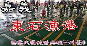 嘉義東石漁港丨超刺激!第一次拍賣就上手丨手掌大的現流活海蝦一斤450丨Cheap Seafood Auction in Chiayi Dongshi Fishing Port