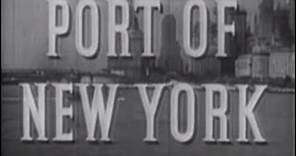 Port of New York (1949) [Film Noir] [Drama]