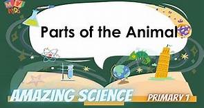 P.1 | Science | Parts of the animals