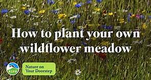 How to plant your own wildflower meadow | RSPB Nature on Your Doorstep