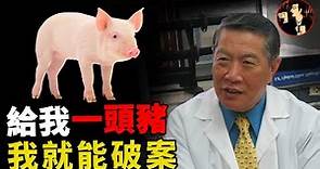 【李昌鈺系列】李昌鈺最難忘的案件，一場近乎完美的犯罪，李昌鈺憑藉一頭豬一戰成名 | 兩年前的作品