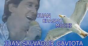JUAN SALVADOR GAVIOTA, Autor: JUAN ERASMO MOCHI #SuperaciónPersonal #RichardBach #Motivación
