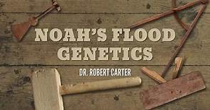 Origins: Noah’s Flood Genetics