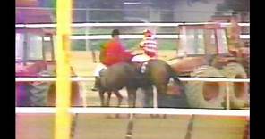 1981 Belmont Stakes - Summing : CBS Broadcast
