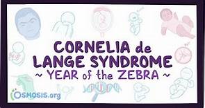 Cornelia de Lange syndrome (Year of the Zebra)