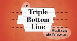 What Is the Triple Bottom Line? | Business: Explained