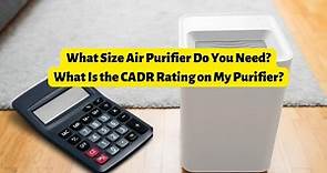 Air Purifier Room Size Calculator: What Size Air Purifier Do You Need?