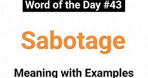 Sabotage Meaning with Examples