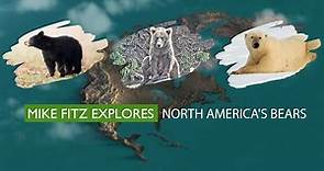Meet North America's Bears!| Mike Fitz Explores