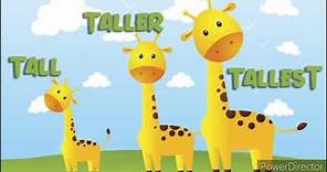 The concept of Tall, Taller and Tallest.