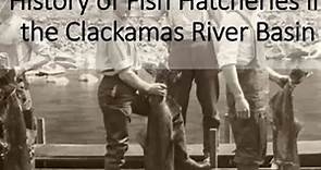 Overview of fish hatcheries in the Clackamas River Basin