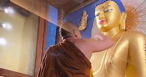 Rinpoche and Mangala Shri Bhuti offering gold to Buddha’s body in Bodhgaya 🙏🏼🙏🏼🙏🏼 may all rejoice and dedicate the merit #offering #buddha #dzigarkongtrulrinpoche #gratitude #thankyou | Dzigar Kongtrul Rinpoche