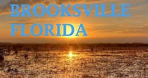 Brooksville Florida Directions and Review