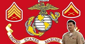 Los rangos de la Marina de EEUU - Rangos Militares de ENLISTADOS |U.S. Marine|