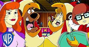 Scooby-Doo! in Italiano | Scooby Dooby Doo! | WB Kids
