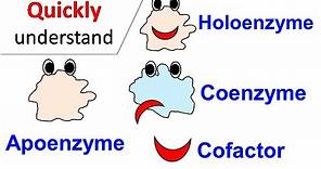 Cofactors | Coenzymes | Holoenzyme | Apoenzyme