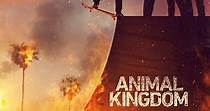 Animal Kingdom - streaming tv series online