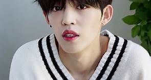 The Untold Truth Of Seventeen (세븐틴) Member S.Coups - Choi Seungcheol (에스.쿱스)