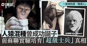 「猩猩人」真有其事？人猿混種曾成功受孕　揭秘前蘇聯可怕實驗