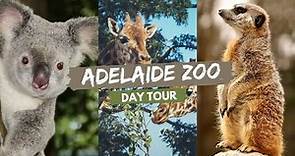 Adelaide Zoo - South Australia | Day Trip