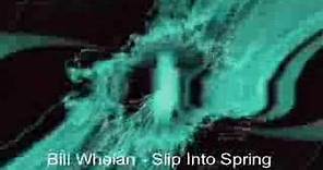 Bill Whelan - Slip Into Spring (from Riverdance)