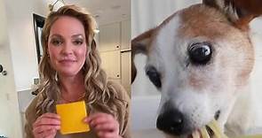 Katherine Heigl on Instagram: "🐶 Which human foods are dog friendly? Actress & dog activist, Katherine Heigl, is here to set the record straight. Find out which foods are amazing for your dog's health - and which to avoid at ALL costs! Get a powerful key to a healthy dog with Superfood Complete now 👉 lnk.to/BadlandsSurvey"