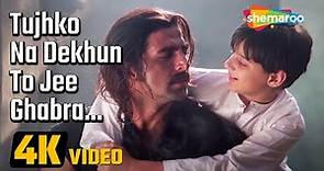Tujhko Na Dekhu Toh (4K Video) | Jaanwar (1999) |Akshay Kumar | Aditya Kapadia | Sunidhi Chauhan