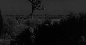The Scarf (1951) John Ireland, Mercedes McCambridge - Film Noir Full Movie