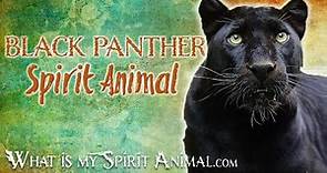 Black Panther Spirit Animal | Black Panther Totem, Power Animal | Black Panther Symbolism & Meanings