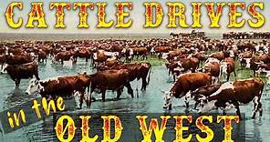 Cattle Drives in the Old West
