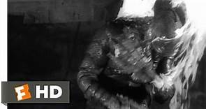 Creature from the Black Lagoon (6/10) Movie CLIP - The Creature Escapes (1954) HD