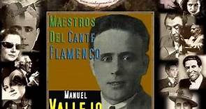 Manuel Vallejo - Creyendo Que Iba a Volver (Fandangos) (Flamenco Masters)