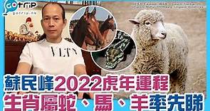蘇民峰2022年生肖運程｜屬蛇、馬、羊運程篇