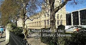 A Short Guide to the Natural History Museum in London