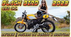 BLACKBIRD DE ITALIKA 250 CC REVIEW || PRUEBA DE SONIDO || PRUEBA DE MONTURA.