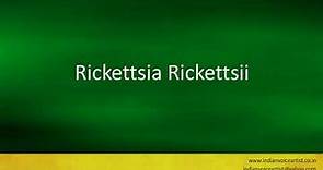 Pronunciation of the word(s) "Rickettsia Rickettsii".
