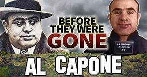 AL CAPONE | Before They Were Gone | BIOGRAPHY & Chicago History