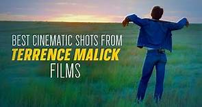 The MOST BEAUTIFUL SHOTS of TERRENCE MALICK Movies