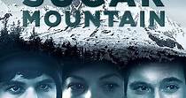 Sugar Mountain streaming: where to watch online?