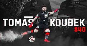 Tomáš Koubek - After my transfer to Stade Rennais FC I...