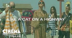 Cinema Italian Style 2018 Trailer: Like a Cat On a Highway