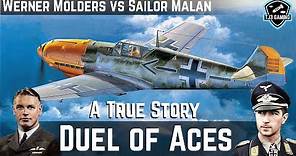 A Duel of Aces - The Famous Dogfight of Werner Molders and Sailor Malan - WWII Historic Recreation