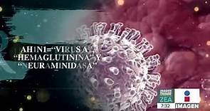 ¿Qué es el virus gripal A (H1N1)? | Noticias con Francisco Zea