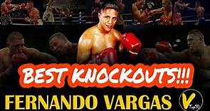 10 Fernando Vargas Greatest knockouts
