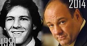 James Gandolfini (1991-2014) all movies list from 1991! How much has changed? Before and After!