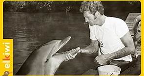El triste final de la delfín que interpretó a Flipper